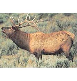 Delta Delta #110 Elk Target