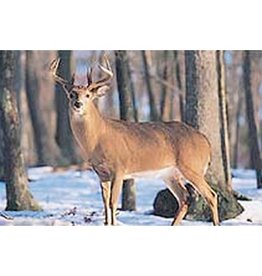 Delta Delta #402 Deer Target