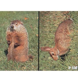 Delta Delta #108 Groundhog & Rabbit Target