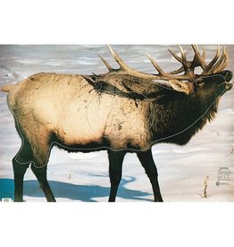 Martin Elk Group 2 Target