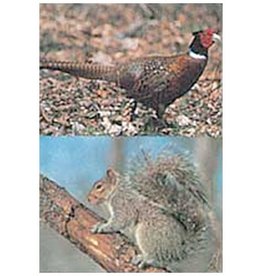 Delta Delta #117 Pheasant/Squirrel Target