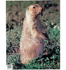 Martin Martin Paper Target Prairie Dog