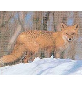 Delta Delta #107 Red Fox Target