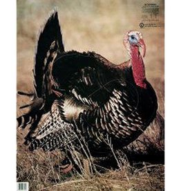 Martin Turkey Group 3 Target