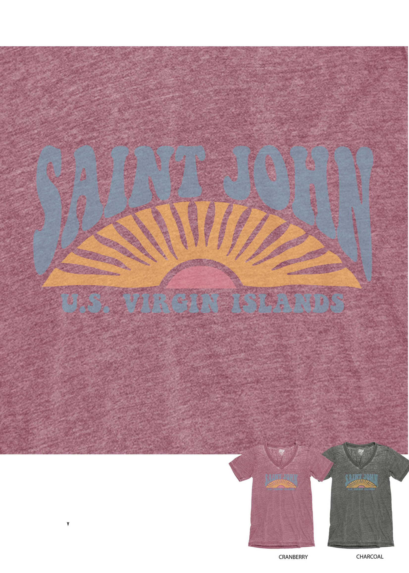 St. John Beach Bum Day Dreamer Sun V-Neck Tee