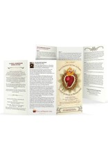 Full of Grace USA The Surrender Novena Trifold Holy Card - Original Wallet Size (3" X 5")