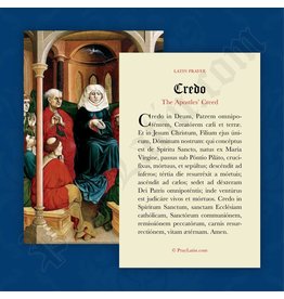 PrayLatin Apostles' Creed (Latin)