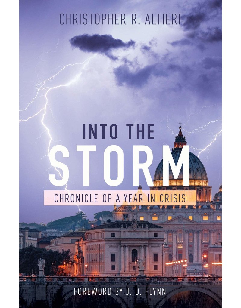 Tan Books Into the Storm: Chronicle of a Year in Crisis