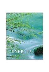 Altar + Home Gaelic Words: Enerxía Abbey Irish Petite Note