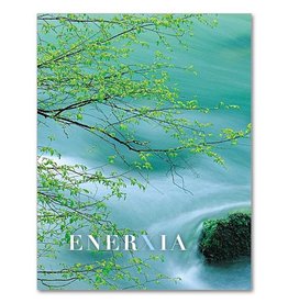 Altar + Home Gaelic Words: Enerxía Abbey Irish Petite Note