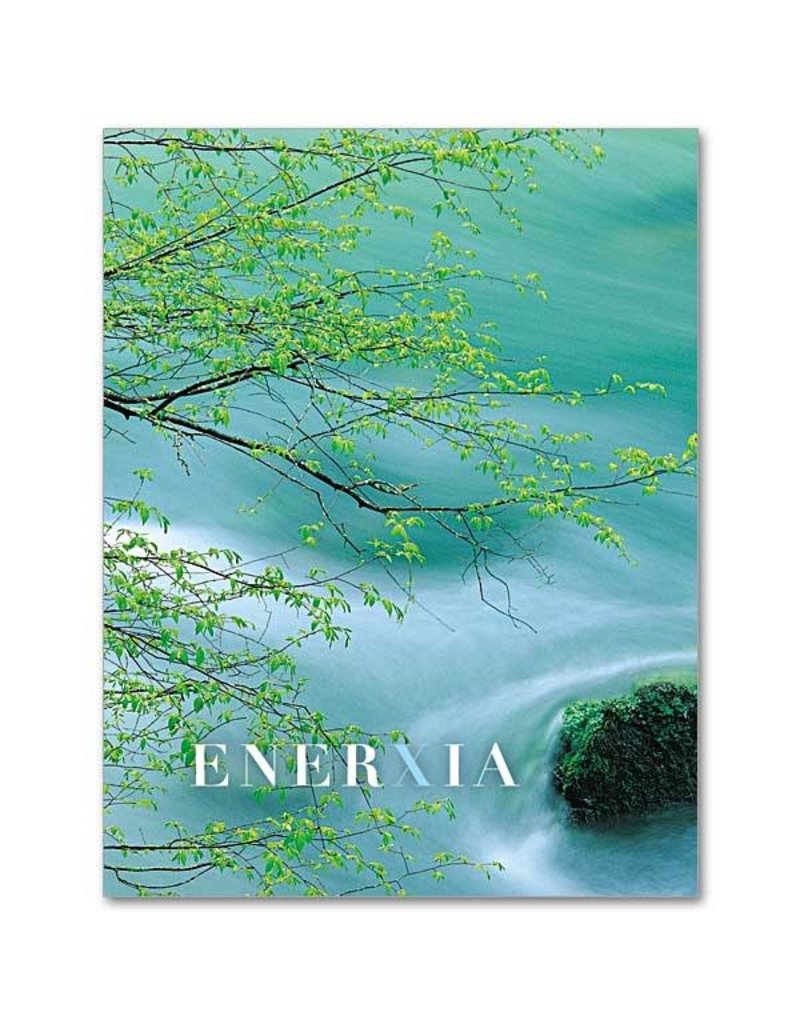 Altar + Home Gaelic Words: Enerxía Abbey Irish Petite Note