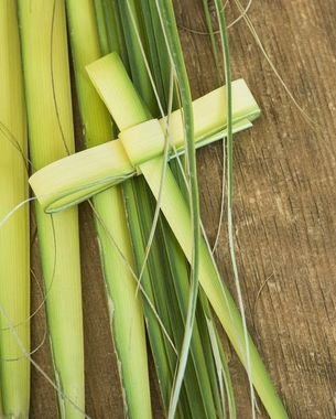 What happens to your palm leaves? The rules for blessed palms.