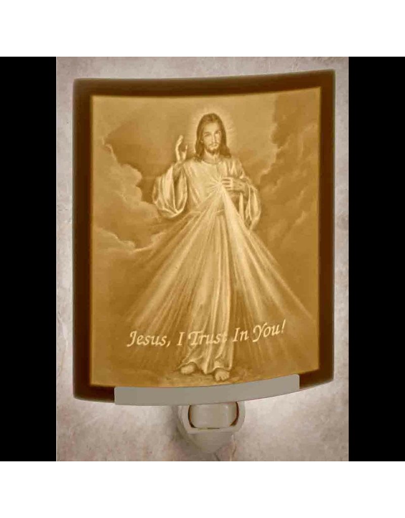 The Porcelain Garden Curved Night Light Divine Mercy