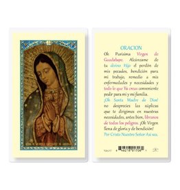 WJ Hirten Laminated Holy Card Virgen de Guadalupe