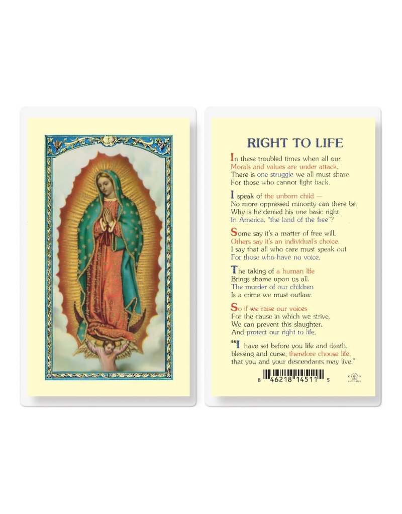 WJ Hirten Laminated Holy Card Right to Life
