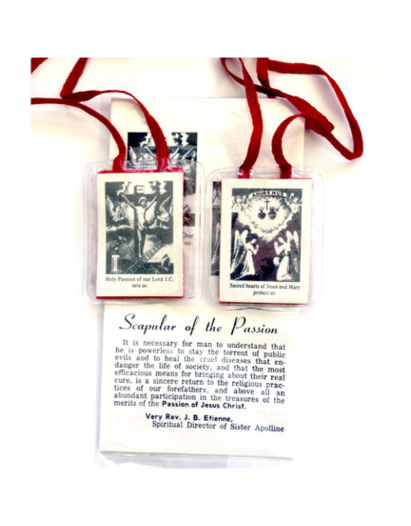 Religious Art Inc 2" Red Scapular of the Passion with Pamphlet