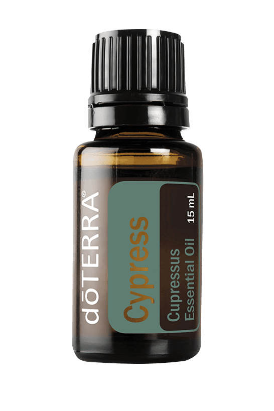 Cypress Oil, 15 mL | doTerra - Queen of Angels Catholic Store