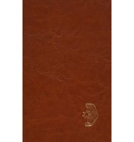 Libros Ligori Liturgia de las horas: Diurnal  Imitation Leather