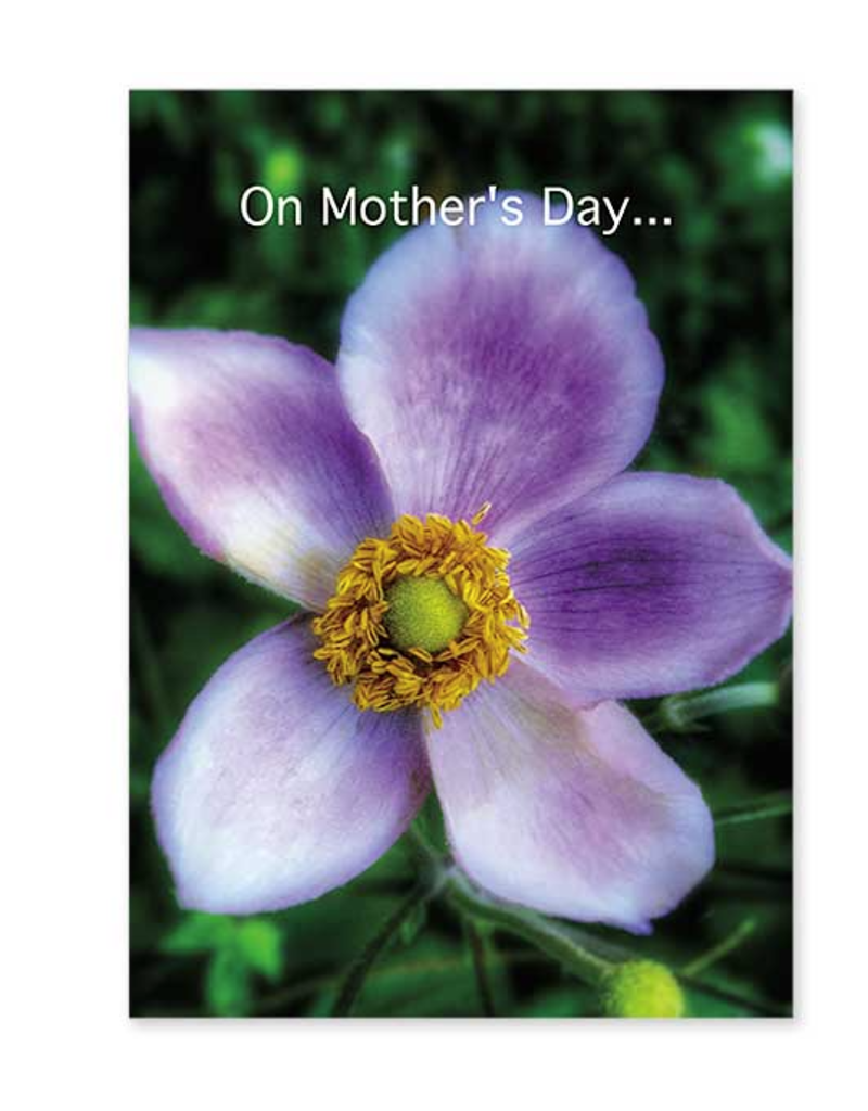 The Printery House What a Perfect Day to Celebrate Mother's Day Card