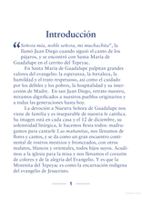 Liturgy Training Publications María de Guadalupe - Madre y esperanza nuestra