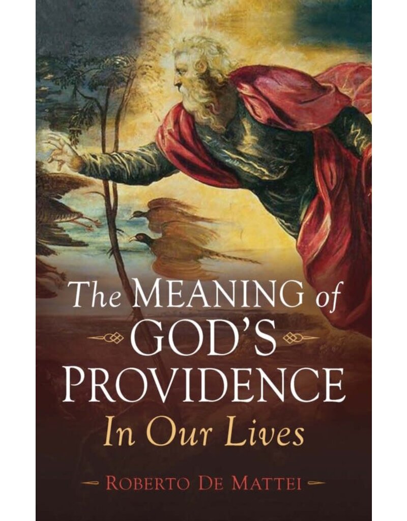 Sophia Institute Press The Meaning of God’s Providence