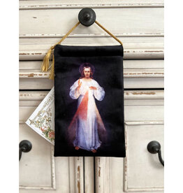 Made By Catholics Divine Mercy Détente and Protector Pouch