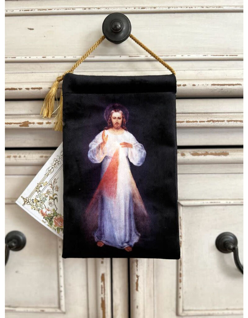 Made By Catholics Divine Mercy Détente and Protector Pouch
