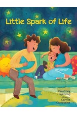 Paraclete Press Little Spark of Life A Celebration of Born and Preborn Human Life