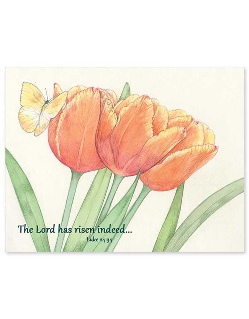 Altar + Home The Lord Has Risen Indeed Petite Notes