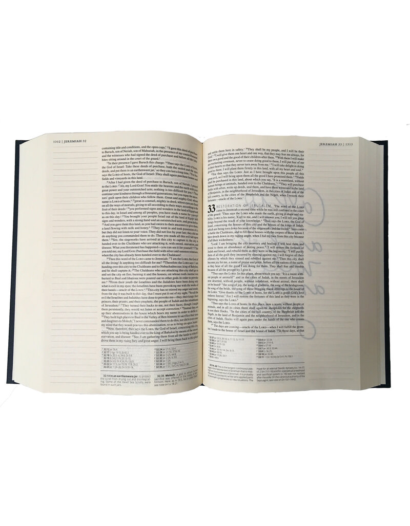 Our Sunday Visitor The Catholic Journaling Bible (Blessed is She)