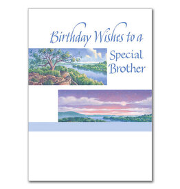 The Printery House Birthday Wishes to a Special Brother Birthday Card