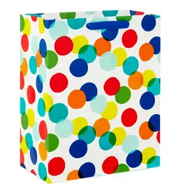 Hallmark Multicolor Polka Dotted Gift Bag