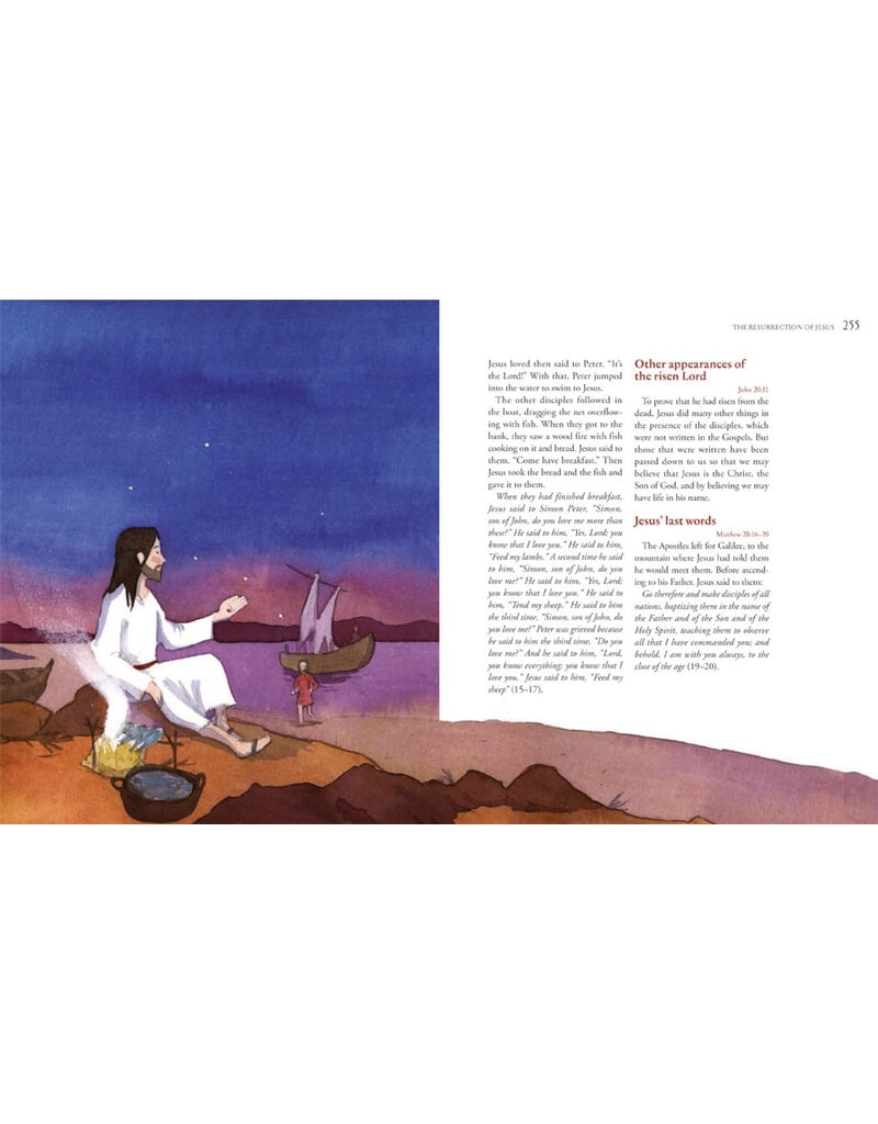 Ignatius Press My Catholic Bible