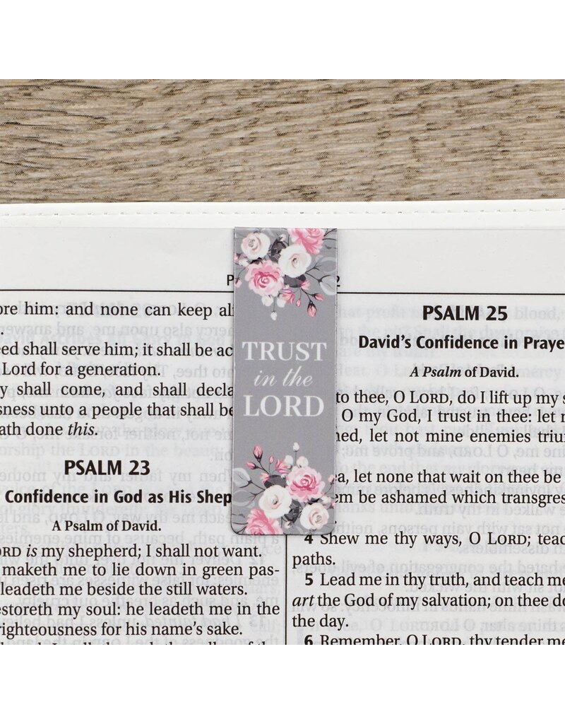 Christian Art Gifts Magnetic Pagemarker Set - Pink Roses (Set of 6)