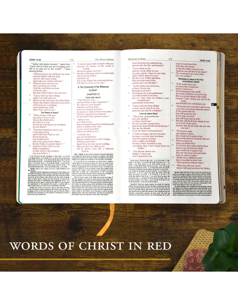Catholic Book Publishing Corp New Catholic Bible For Youth-Softcover