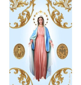 Blessed Americas Our Lady of Grace Scarf