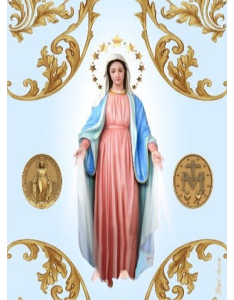 Blessed Americas Our Lady of Grace Scarf