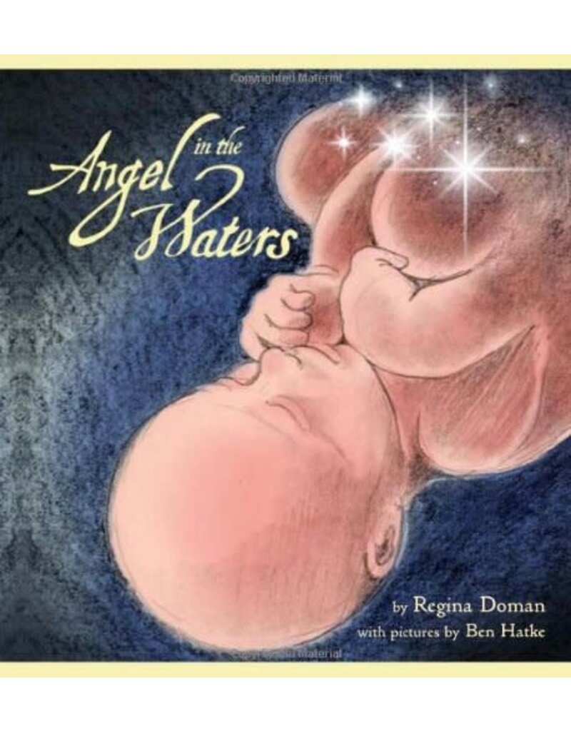 Sophia Institute Press Angel in the Waters