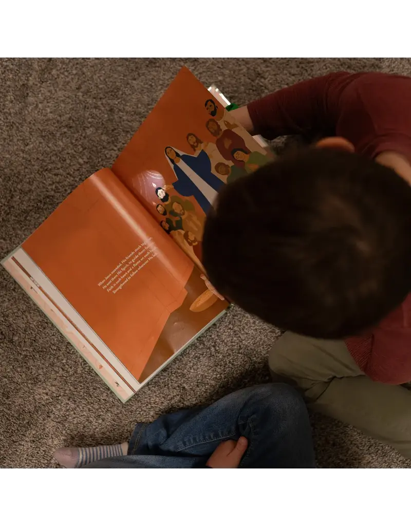 Word on Fire Light of the Sacraments