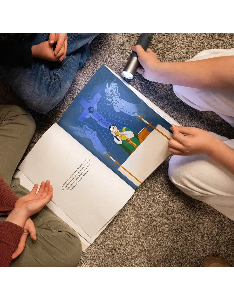 Word on Fire Light of the Sacraments