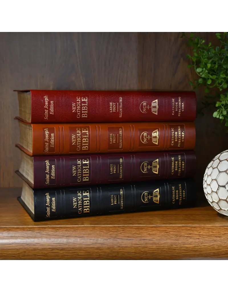 Catholic Book Publishing Corp St. Joseph New Catholic Bible (Gift Edition - Large Type), Black