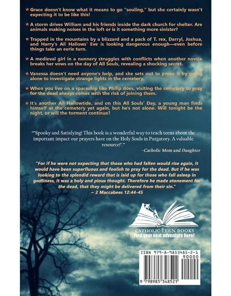 Catholic Teen Books Shadows: (Visible & Invisible Anthology #5)