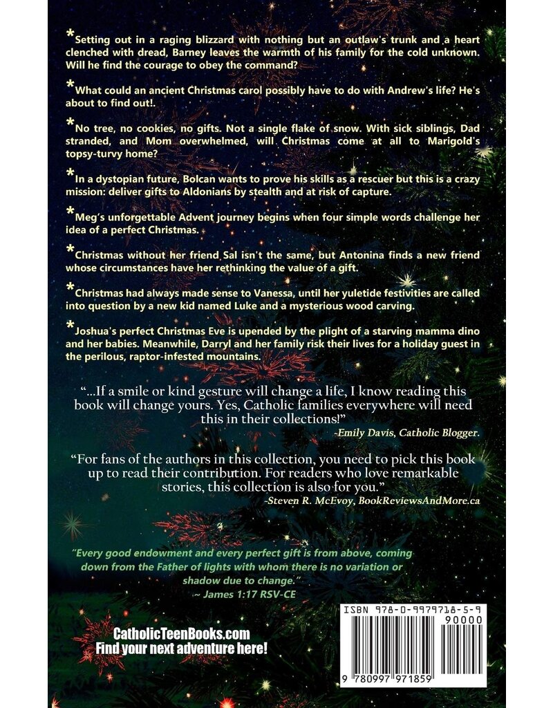 Catholic Teen Books Gifts  (Visible & Invisible Anthology #2)