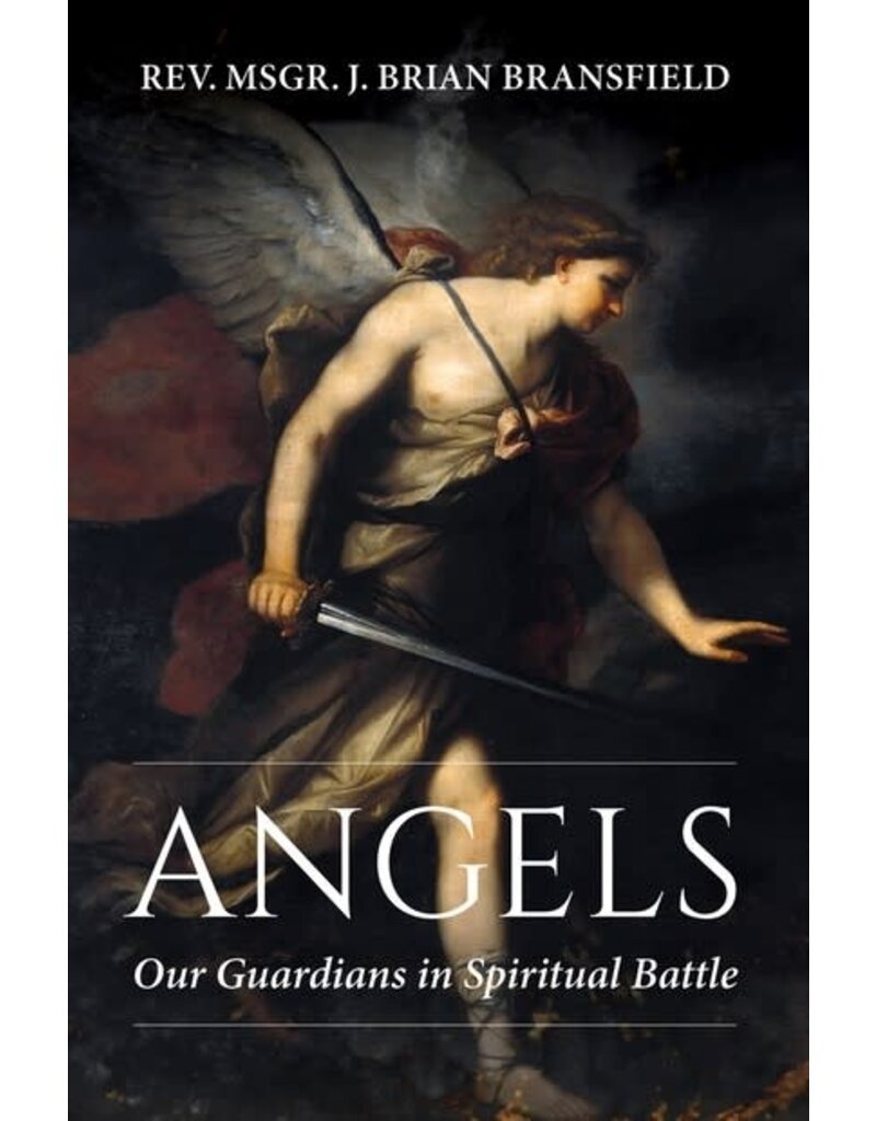Our Sunday Visitor Angels: Our Guardians in Spiritual Battle