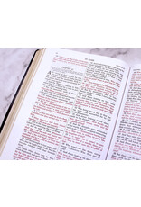 Tan Books Douay-Rheims Bible Large Print Edition