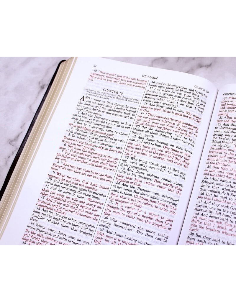 Tan Books Douay-Rheims Bible Large Print Edition