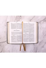 Tan Books Douay-Rheims Bible Large Print Edition