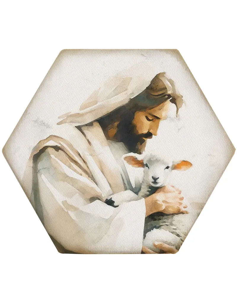 Sincere Surroundings Jesus Holding Lamb Hexagon Coaster