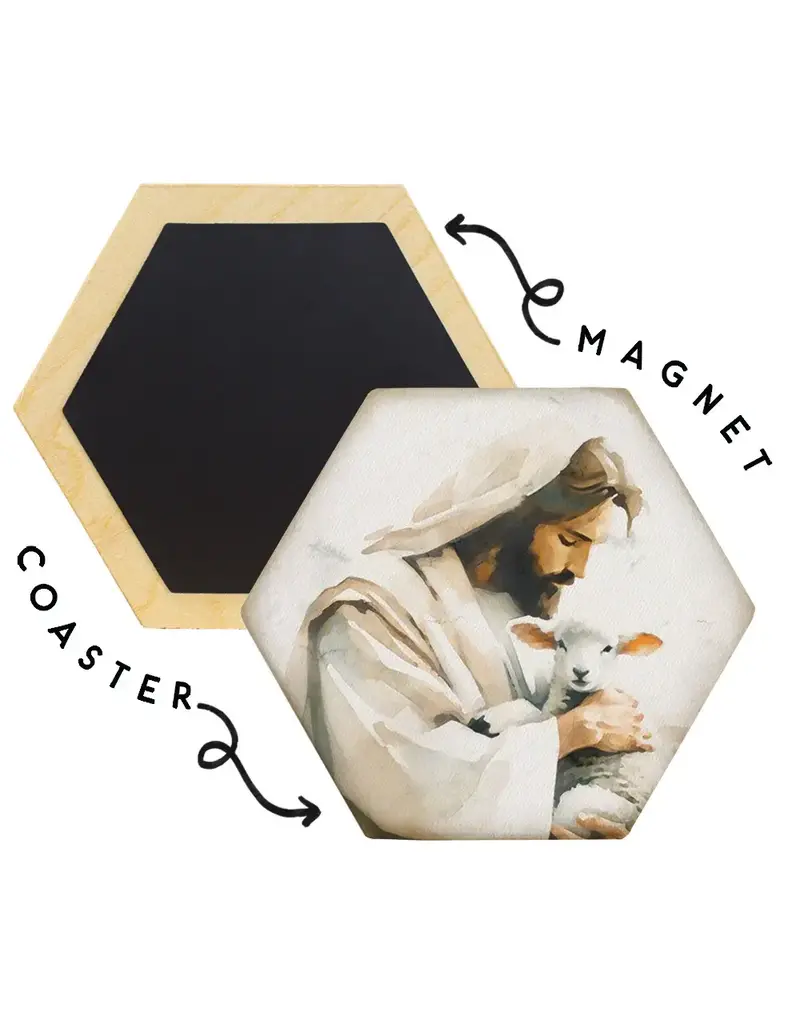 Sincere Surroundings Jesus Holding Lamb Hexagon Coaster
