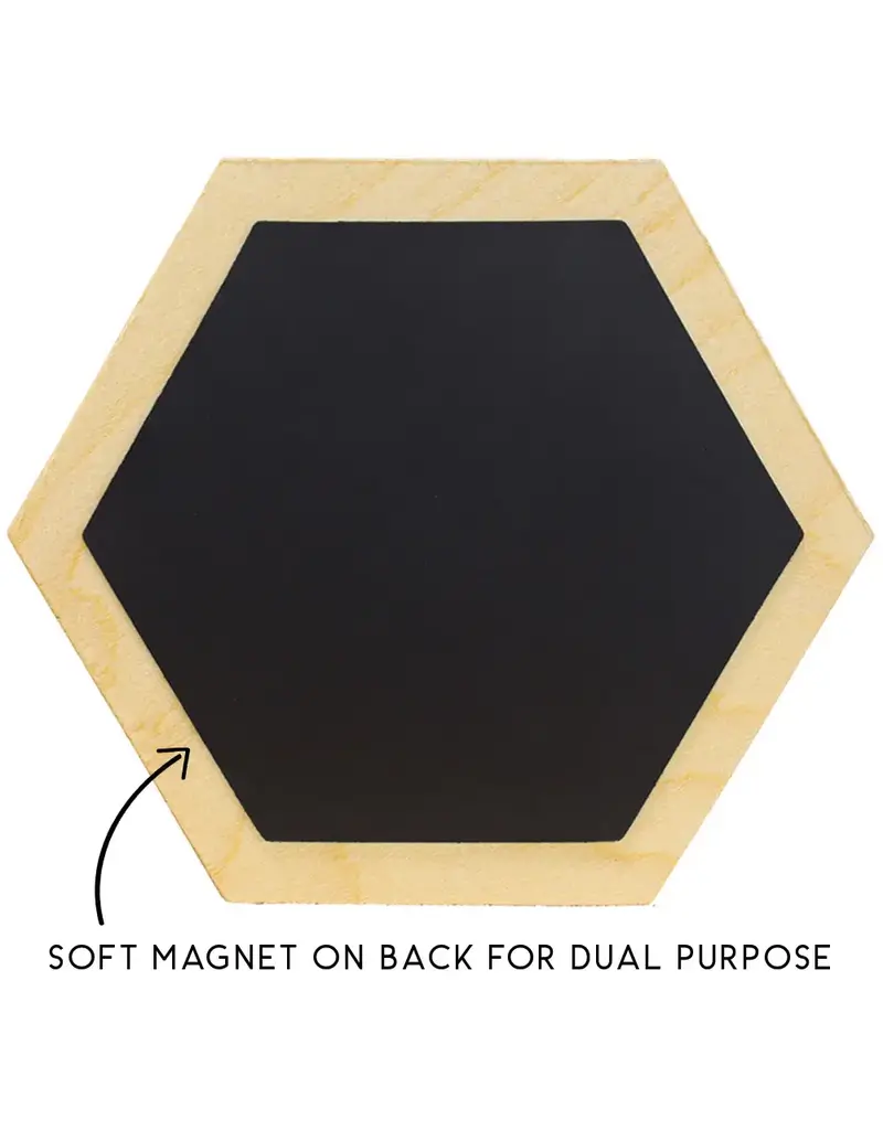 Sincere Surroundings Jesus Holding Lamb Hexagon Coaster